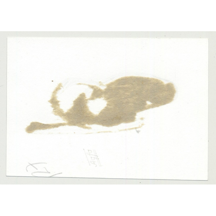 Tiny Shorthaired Woman In Fetish Lacquer Lingerie 1 / BDSM  (Vintage Photo B/W ~1964)