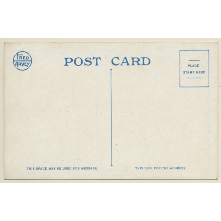 New Mexico / USA: Mexican Wood Train / Donkey Transport (Vintage PC ~1920s/1930s)