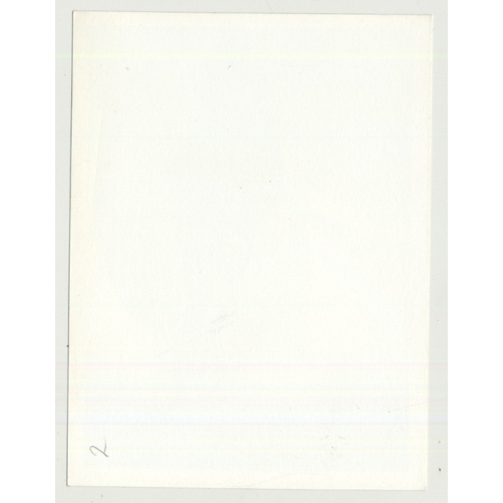 Pretty Model From The 50s Undresses 2 / Shows Leg (Vintage Photo B/W 1950s)