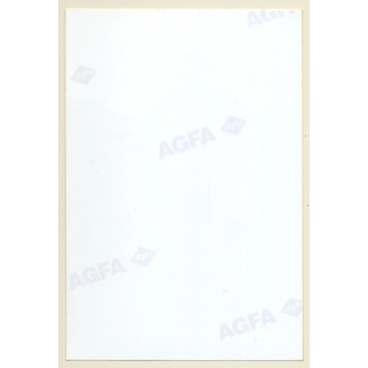 Rear View: Dressed Woman Flashing Butt Outdoors (Vintage Photo Germany ~1990s)