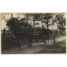 Elegant Man On Four Wheeled One Horse Carriage (Vintage RPPC ~1910s/1920s)