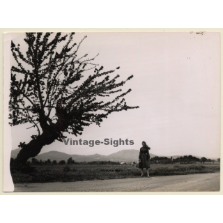 Brigitte Bardot: Et Dieu Crea La Femme / Roger Vadim (Vintage Movie Still Photo 1956)