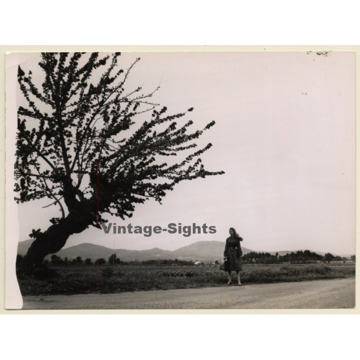 Brigitte Bardot: Et Dieu Crea La Femme / Roger Vadim (Vintage Movie Still Photo 1956)