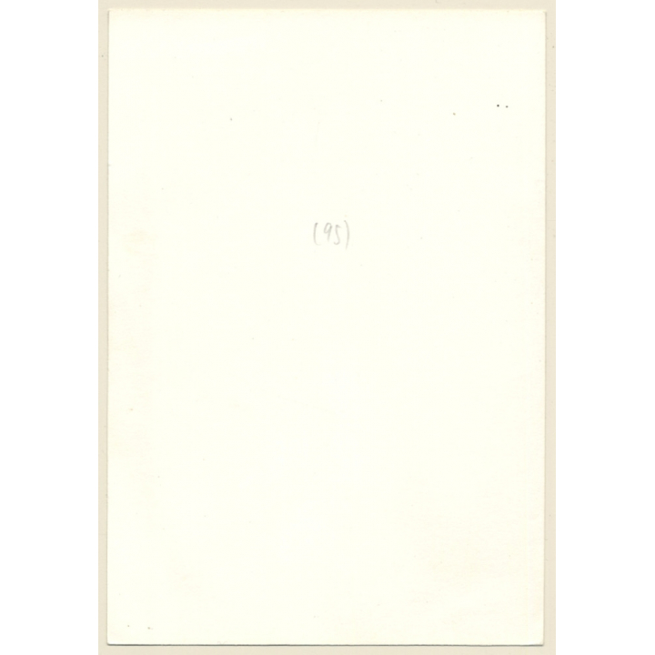 Natural Blonde Semi Nude*2 / Panties - Hairy Armpits (Vintage Photo GDR ~1970s/1980s)