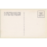 Eastern Air Lines: Great New Silver Falcon / Aviation (Vintage PC ~1950s