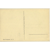 WW2: Heinkel Jagdflugzeuge He 51 Im Sturzflug / Aviation (Vintage RPPC ~1930s/1940s)