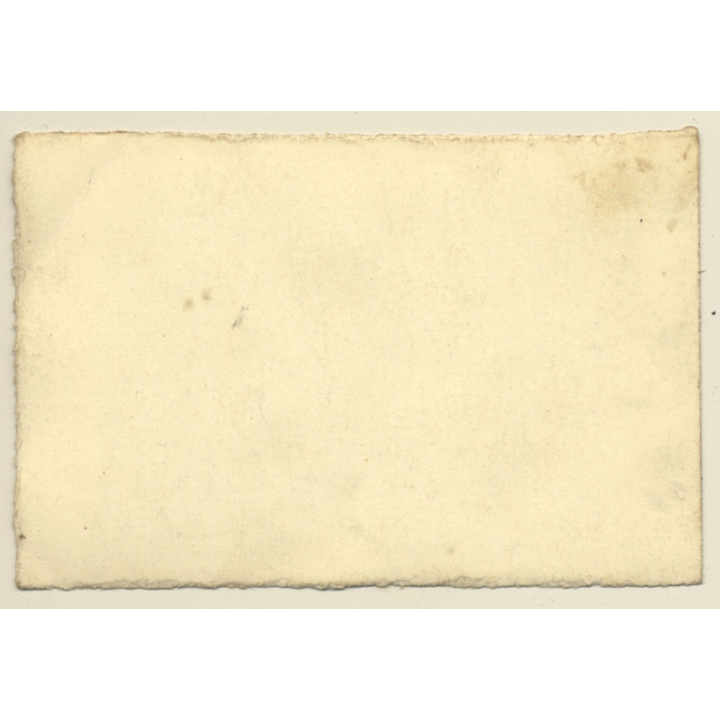 Great Take: Grey Tiger Cat On The Lookout (Vintage Photo ~1930s/1940s)