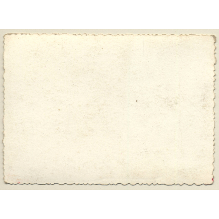 Grey Tiger Cat Chilling In The Sun (Vintage Photo ~1930s/1940s)