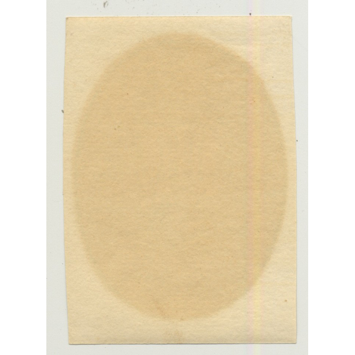 Hotel Impala - Buenos Aires / Argentina (Vintage Roll On Luggage Label)