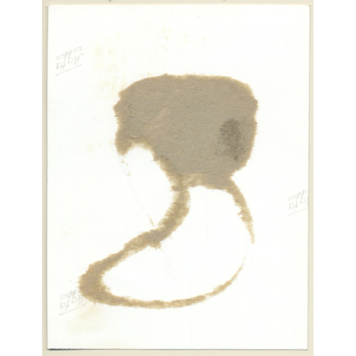 Slim Semi Nude Maid In Belt Bondage / Gag - BDSM (2nd Gen.Photo ~1960s)