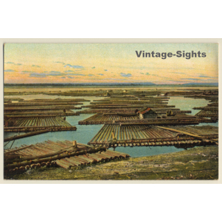 Wolga / Russia: Timber Rafting / Flottage Du Bois / Flösserei (Vintage PC)