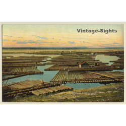 Wolga / Russia: Timber Rafting / Flottage Du Bois / Flösserei (Vintage PC)