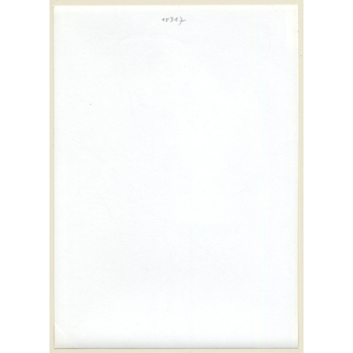 Tall Slim Shorthaired Semi Nude*3 (Vintage Photo GDR 1980s)