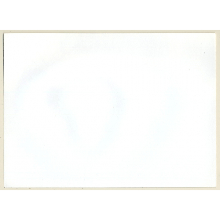 Natural Brunette Nude On Couch / Wallpaper (Vintage Photo GDR 1980s)