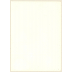 Natural Longhaired Brunette Nude Sunbathing (Vintage Photo GDR 1980s)