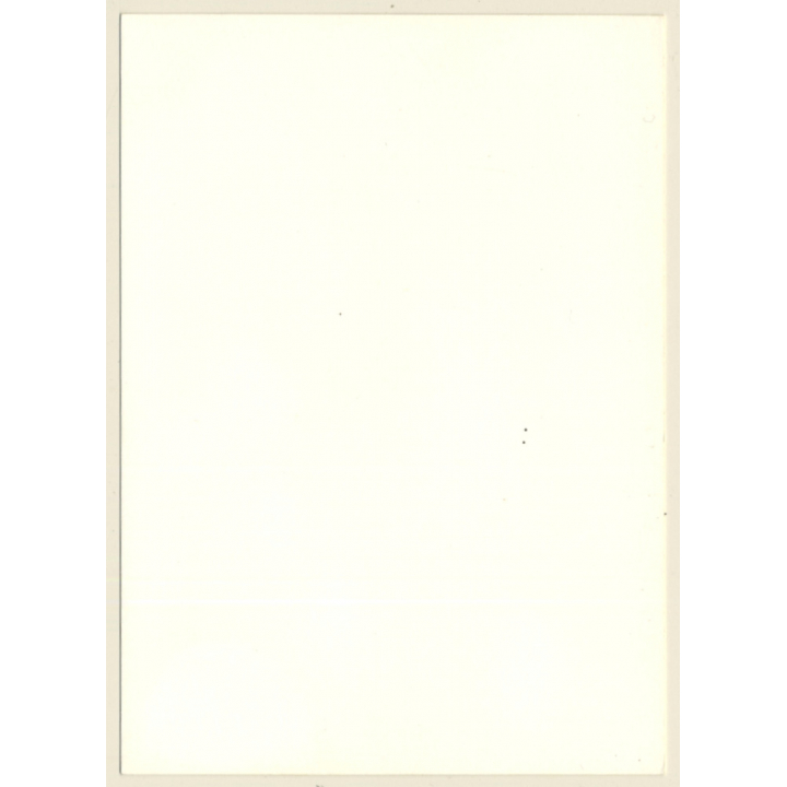 Natural Longhaired Brunette Nude Sunbathing (Vintage Photo GDR 1980s)