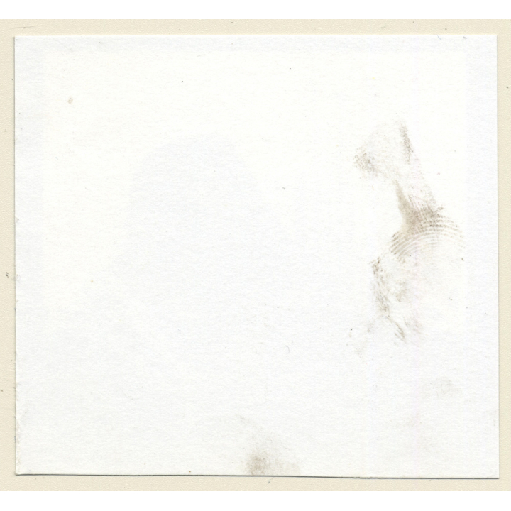 Semi Nude Dark-Skinned Female In Design Tulip Chair*8 (Vintage Contact Sheet Photo 1970s)