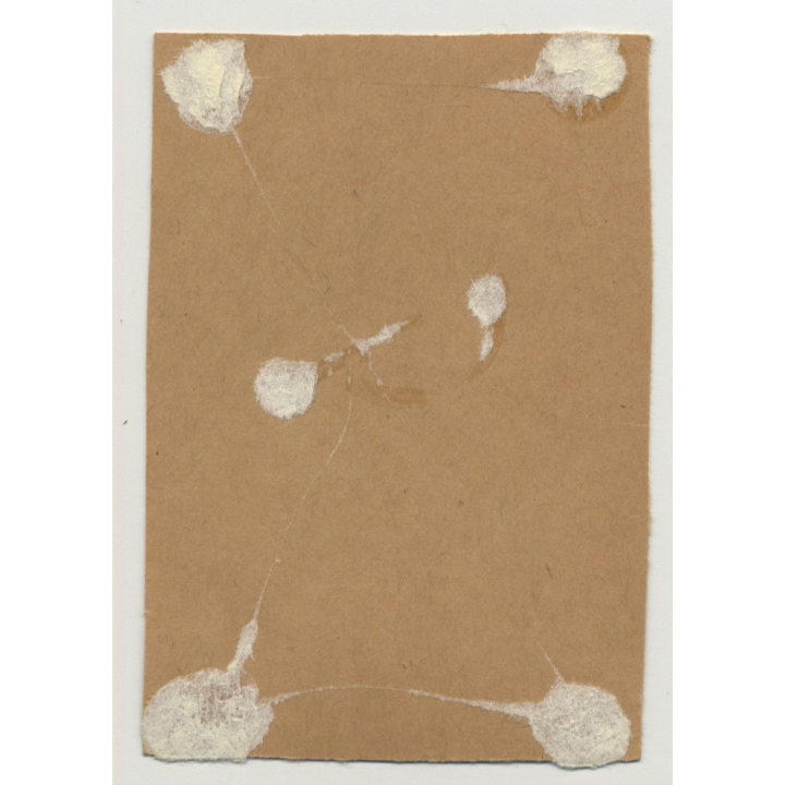 Chubby Dominant Nude Blonde On Chair / Thighs - Look (Vintage Photo B/W ~1950s)