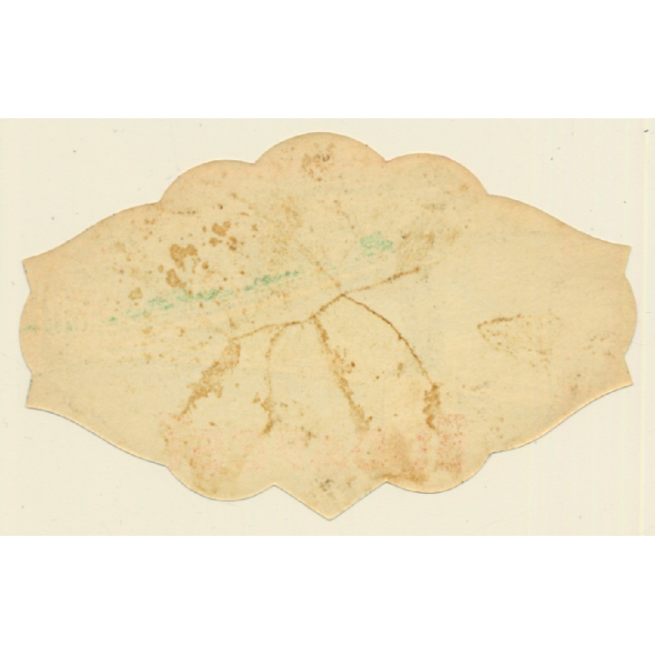 Budapest / Hungary: Liberty Statue (Vintage Luggage Label)