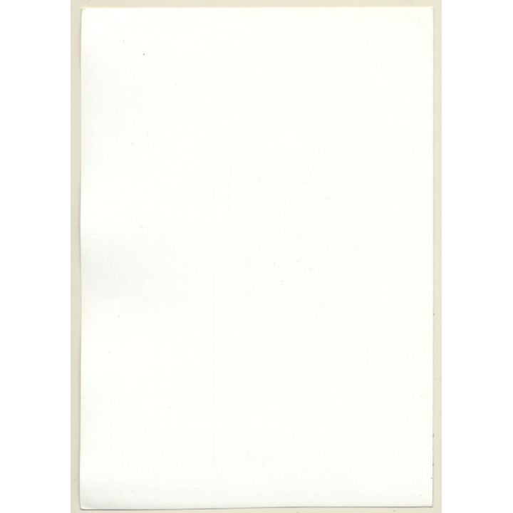 Natural Darkhaired Nude Standing / Wallpaper (Vintage Photo GDR 1980s)