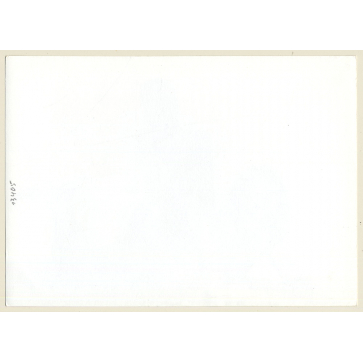 Shorthaired Suntanned Nude & Nude Curlyhead (Vintage Photo GDR 1980s)