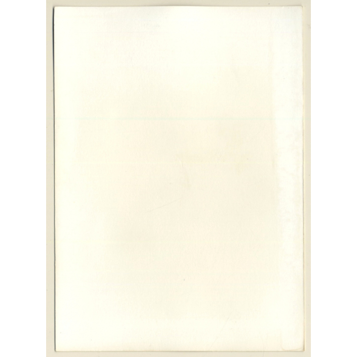 Dreamy Brunette Nude On Checkered Blanket (Vintage Photo GDR ~1980s)