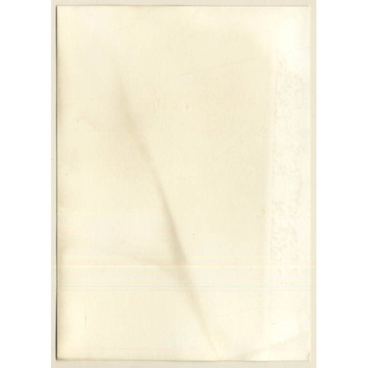 Semi Nude Darkhaired Female In White Lingerie (Vintage Photo GDR ~1980s)