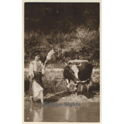 Romania: Tzigane Woman At River - Cow / Colectia A.Bellu (Vintage PC ~1930s)