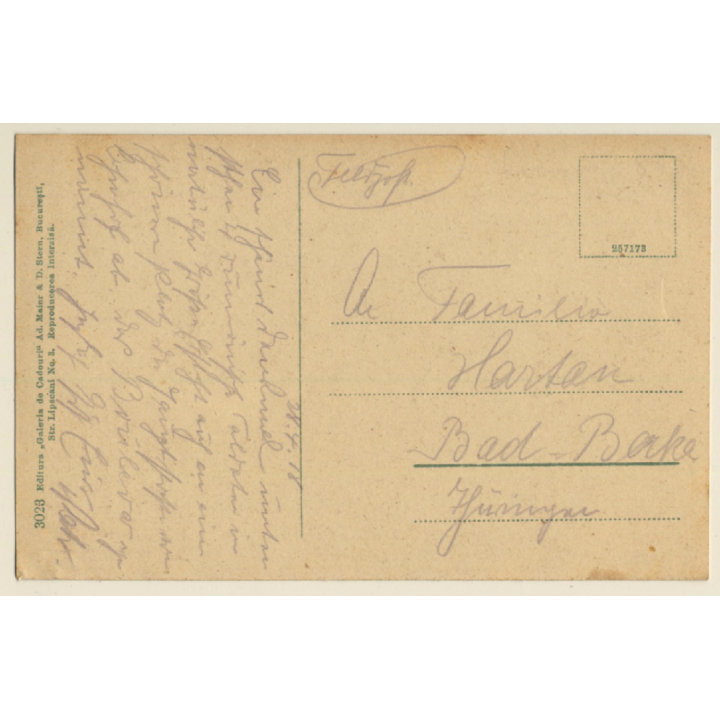 Ploesti / Romania: Monumentul Vanatorilor (Vintage PC 1918)