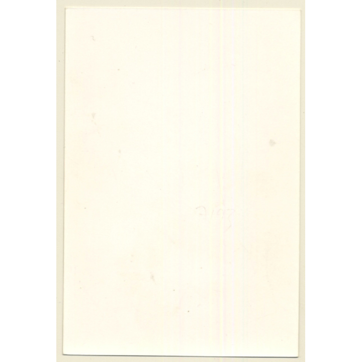 Slim Darkhaired Nude On Forest Edge / Meadow (Vintage Photo GDR ~1980s)