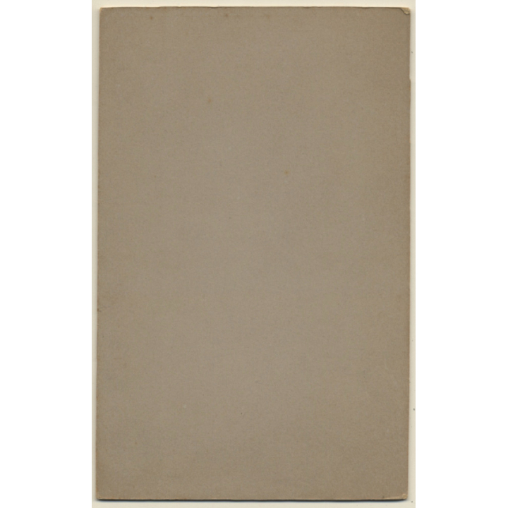 Rudolph Hahn / Berlin: Darkhaired Woman In Victorian Blouse (Vintage Cabinet Card 1900s)