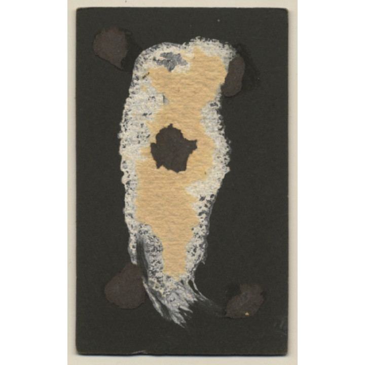 Franz Würth / Stühlingen: Young Woman With A Side Parting (Vintage Carte De Visite / CDV 1910s)