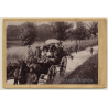 Paul König / Schleiz-Lobenstein: Festival Society In Horse Carriage (Vintage Cabinet Card 1900s)