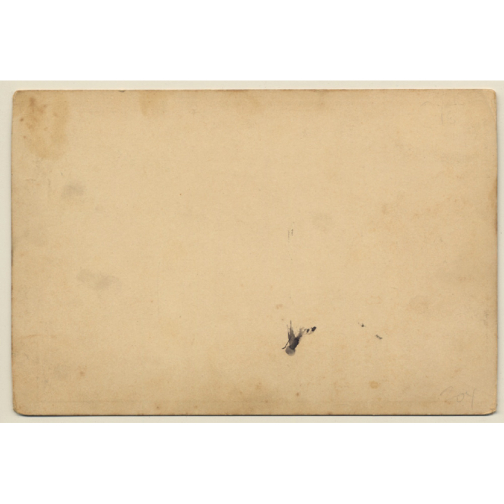 Paul König / Schleiz-Lobenstein: Festival Society In Horse Carriage (Vintage Cabinet Card 1900s)