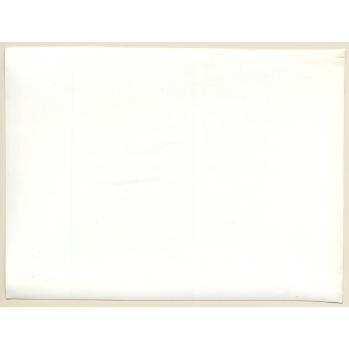 Jerri Bram (1942): Driftwood In Surf Of Beach (Vintage Photo 1960s/1970s)