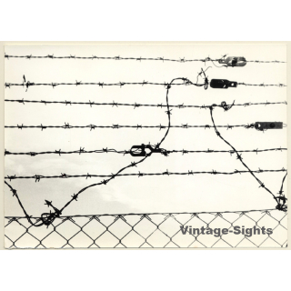 Jerri Bram (1942): Detail Of Barbed Wire Fence (Vintage Photo 1960s/1970s)