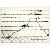 Jerri Bram (1942): Detail Of Barbed Wire Fence (Vintage Photo 1960s/1970s)