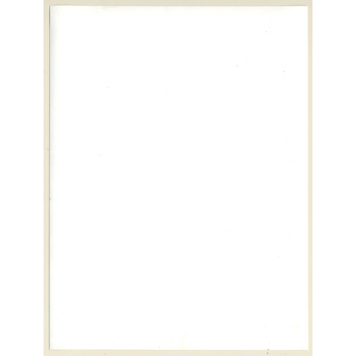 Jerri Bram (1942): Longhaired Hippie Woman Flashing Breast (Vintage Photo 1960s/1970s)