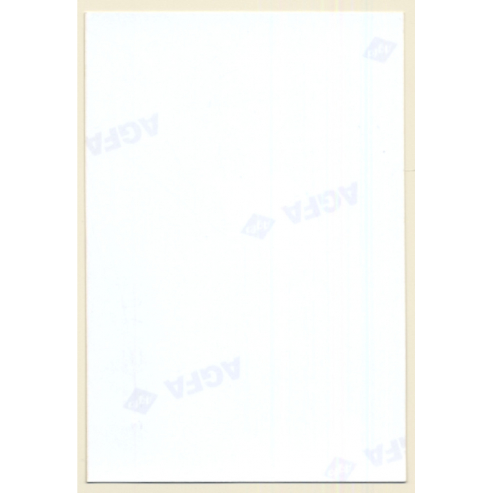 Natural Brunette Woman Flashing Boobs Outdoors (Vintage Photo ~1980s)