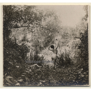 Nude Female Stretching Out In Beautiful Garden (Vintage Gelatin Silver Photo ~1920s/1930s)