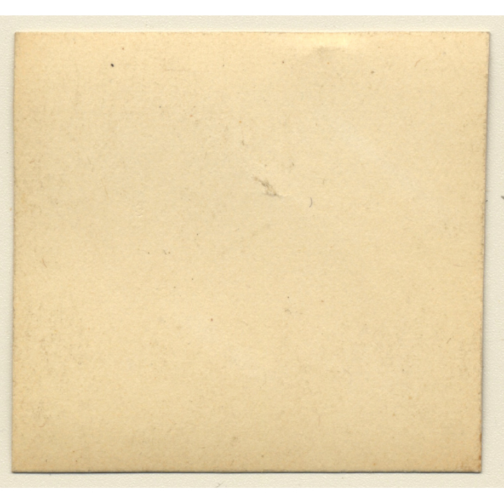 Nude Female Stretching Out In Beautiful Garden (Vintage Gelatin Silver Photo ~1920s/1930s)