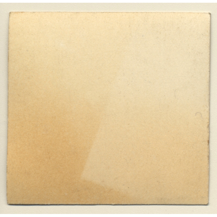 Nude Female Lingering On Tiger Skin With Head (Vintage Gelatin Silver Photo ~1920s/1930s)