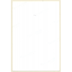 Rear View: Slim Brunette Semi Nude In White Panties (Vintage Photo ~1990s)