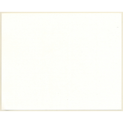 Tintin - La Presse*2 (Lithography Hergé Moulinsart 2011)