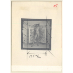 Blonde Semi Nude Undressing Herself*3 (Vintage Contact Sheet Photo 1970s/1980s)