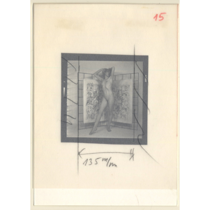 Blonde Semi Nude Undressing Herself*3 (Vintage Contact Sheet Photo 1970s/1980s)