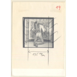 Blonde Semi Nude Undressing Herself*4 (Vintage Contact Sheet Photo 1970s/1980s)