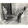 Lydia Nash: Old Woman With Little Dog On Leash (Vintage Photo 1980s)