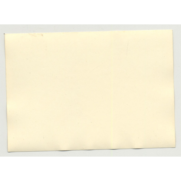 Darkhaired Beauty Lingers On Bed / Lingerie - Suspenders (Vintage Photo B/W 50s)