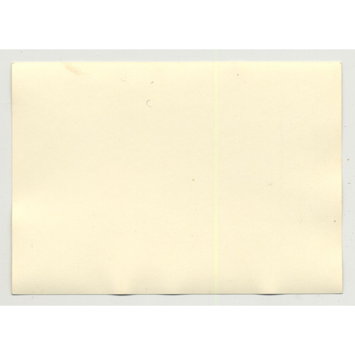 Darkhaired Beauty Shows Armpit / Lingerie - Suspenders (Vintage Photo B/W 50s)